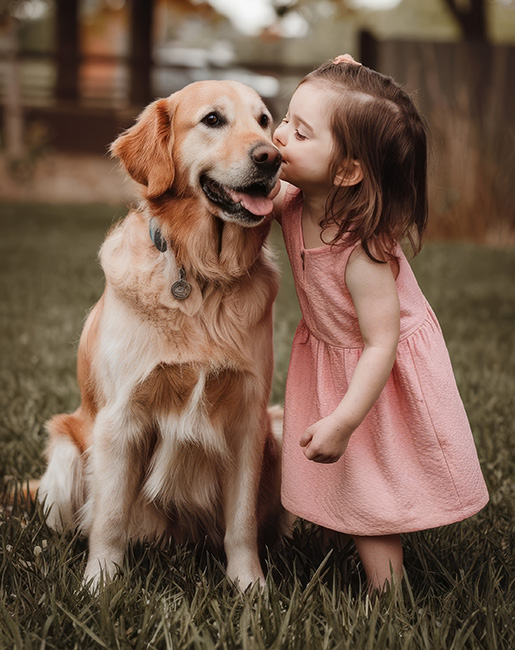 kurumsal web tasarım